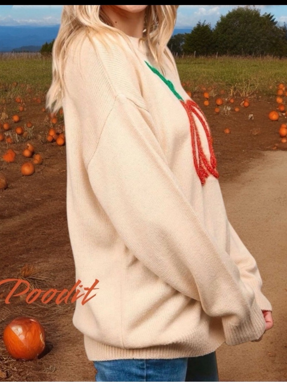 HAPTICS fall vibes shimmer tubing pumpkin plus size sweater 2X 3X - Picture 3 of 5